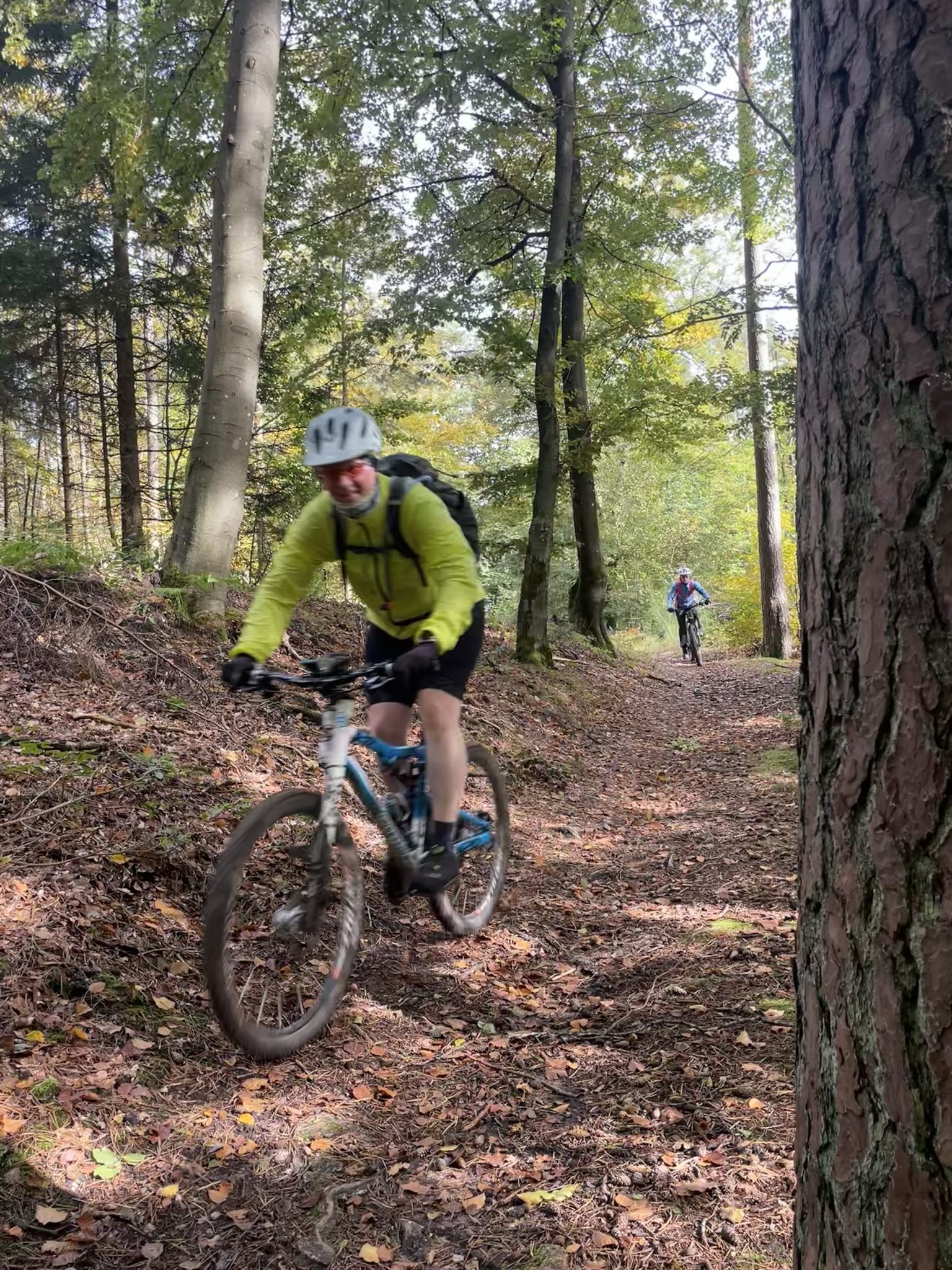 signal 2024 10 20 19 34 40 633 1