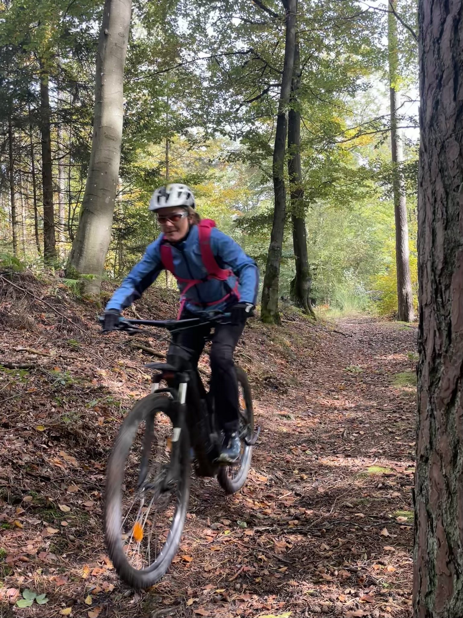 signal 2024 10 20 19 34 40 633 3